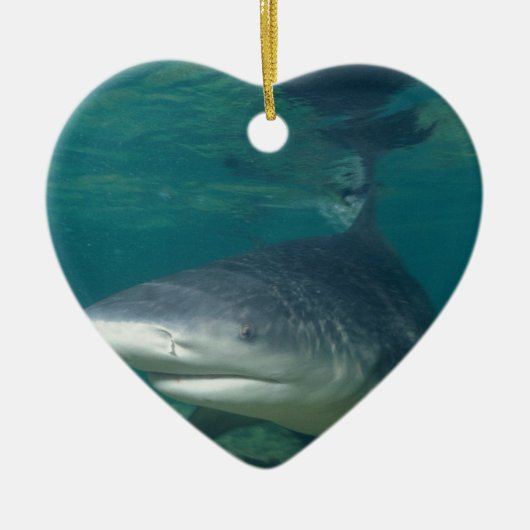 Bullshark Keramikornament (Vorne)