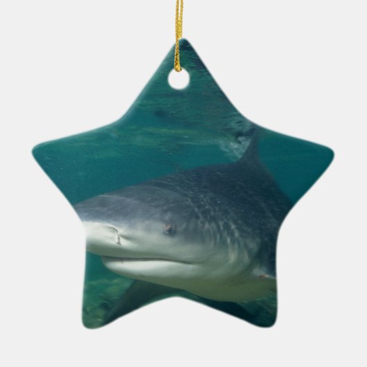 Bullshark Keramikornament (Vorne)