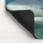 Bullshark Mousepad (Ecke)