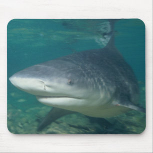 Bullshark Mousepad