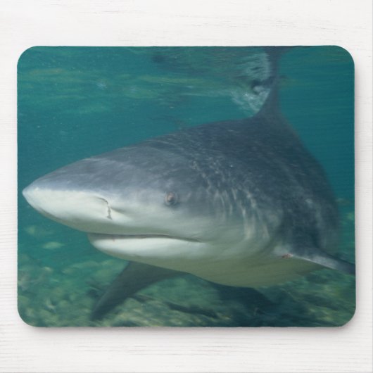 Bullshark Mousepad (Vorne)