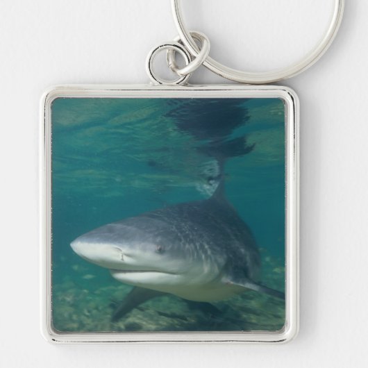 Bullshark Schlüsselanhänger (Vorne)