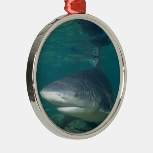 Bullshark Silbernes Ornament (Rechts)
