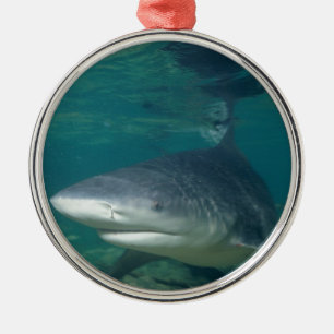 Bullshark Silbernes Ornament