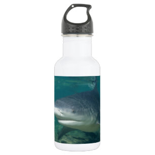 Bullshark Trinkflasche