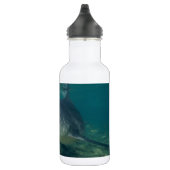 Bullshark Trinkflasche (Rechts)