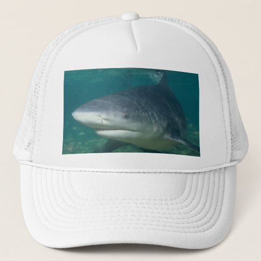 Bullshark Truckerkappe (Vorderseite)