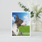 Bullterator PostCard 2011 Postkarte (Stehend Vorderseite)