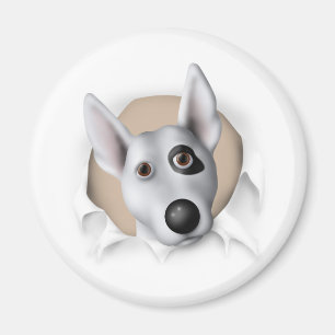 Bullterrier (amerikanisch) heraus sprengend magnet