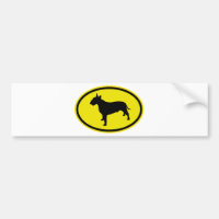 Bullterrier