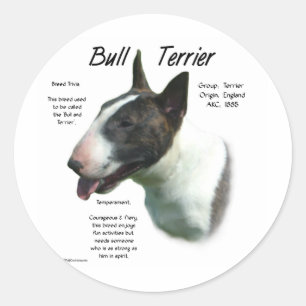 Bullterrier-(gefärbt) Geschichtsentwurf Runder Aufkleber