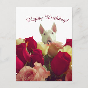 Bullterrier mit Rosen - Alles Gute zum Geburtstag! Postkarte