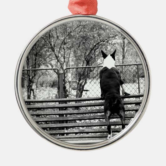 Bullterrier Silbernes Ornament (Vorne)