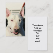 Bullterrier-Visitenkarten Visitenkarte (Vorne/Hinten)