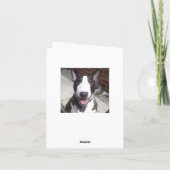 Bullterrier-Weihnachtskarte Feiertagskarte (Rückseite)