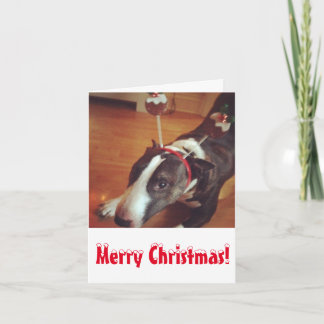 Bullterrier-Weihnachtskarte Feiertagskarte