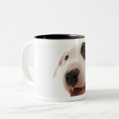 Bullterrier Zweifarbige Tasse (Vorderseite Links)