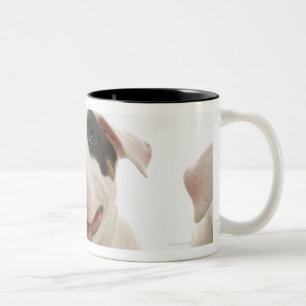 Bullterrier Zweifarbige Tasse