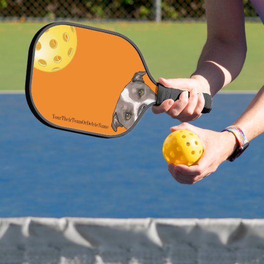 BullTerriers auf einem Orange Pickleball Paddel Pickleball Schläger (InSitu)