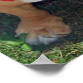 BULLY FREE ZONE 52" x 35" Poster (Ecke)