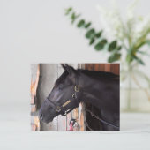 Bully Proof von Bellamy Road Flaming Slew Postkarte (Stehend Vorderseite)