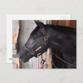 Bully Proof von Bellamy Road Flaming Slew Postkarte (Vorne/Hinten)