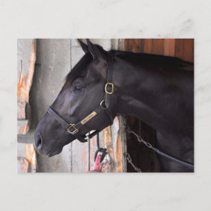 Bully Proof von Bellamy Road Flaming Slew Postkarte