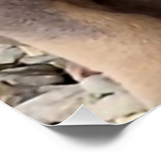 Bully Rasse Welpe Poster (Ecke)