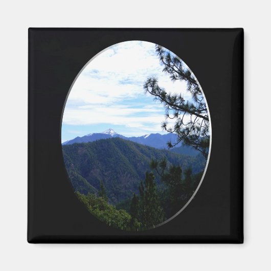 Bully Schup View...... Magnet (Vorne)