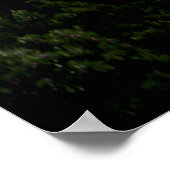 Bully Schup View...... Poster (Ecke)