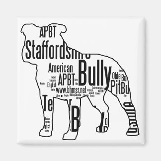 Bully Words Magnet