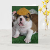 BullyBreeze - Schauer - Chillin heraus - Karte (Gelbe Blume)