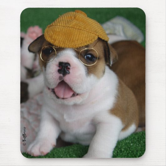 BullyBreeze - Schauer - Chillin heraus - Mousepad (Vorne)