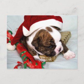 BullyBreeze - Werfen Sie den Punkt - Geschenkzeit Postkarte