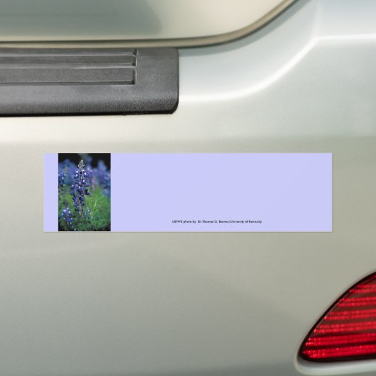 Bumbersticker/TexasBluebonnet Autoaufkleber (Auf Auto)