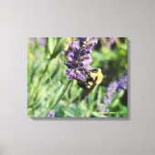 Bumble Bee and Lavender Stretched Canvas Print Leinwanddruck (Vorderseite)