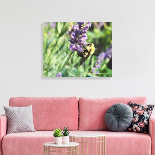 Bumble Bee and Lavender Stretched Canvas Print Leinwanddruck (Insitu (Wohnzimmer))