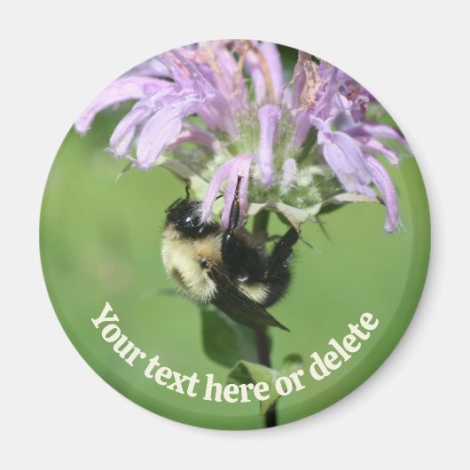 Bumble Bee On Bee Balm Flower Personalized Magnet (Vorne)