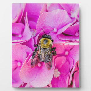Bumble Bee On Hydrangea Fotoplatte