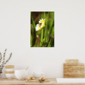 "Bumble Bee" Poster (Küche)