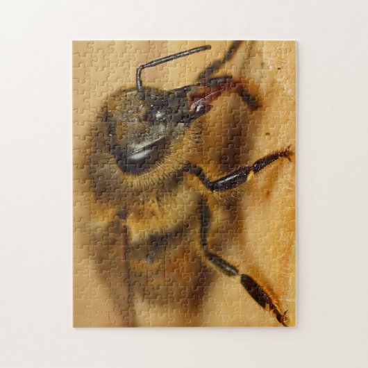 Bumble Bee Puzzle Design (Vertikal)