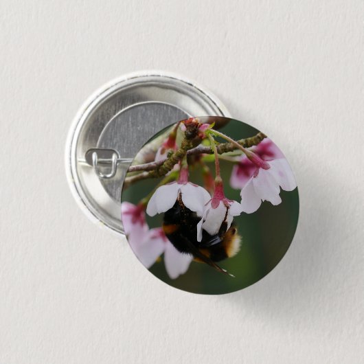 Bumblebee in Blossom Badge Button (Vorne & Hinten)
