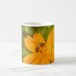 Bumblebee on a Sulfur Cosmos Kaffeetasse
