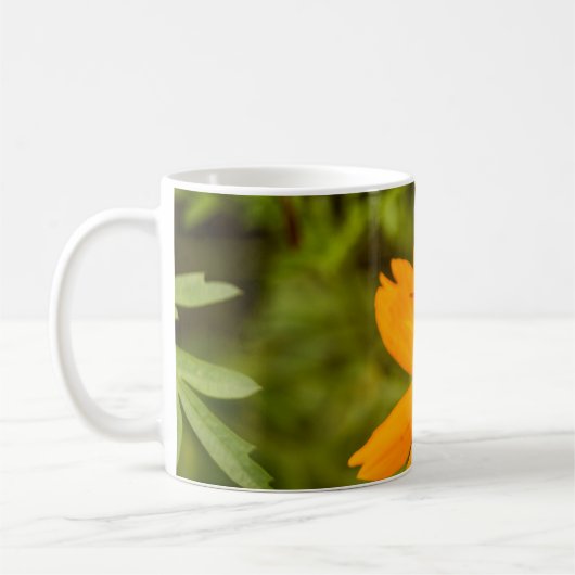 Bumblebee on a Sulfur Cosmos Kaffeetasse (Links)