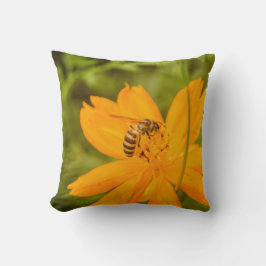 Bumblebee on a Sulfur Cosmos Kissen