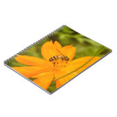 Bumblebee on a Sulfur Cosmos Notizblock (Linke Seite)