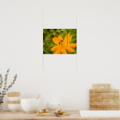 Bumblebee on a Sulfur Cosmos Poster (Küche)