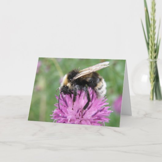 Bumblebee on a Thistle Greeting Card Karte (Vorderseite)