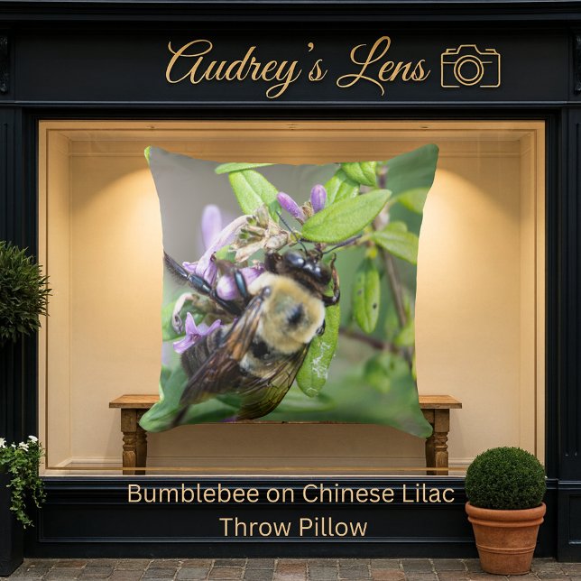 Bumblebee on Chinese Lilac Kissen (Von Creator hochgeladen)