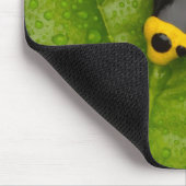 Bumblebepoison Dart Frog Mousepad (Ecke)